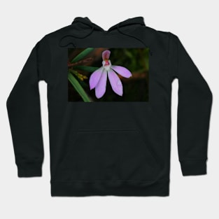 Pink Lady Finger Orchid .. Caladenia carnea Hoodie